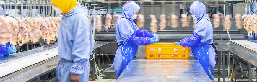 Koipay-�徲֧������