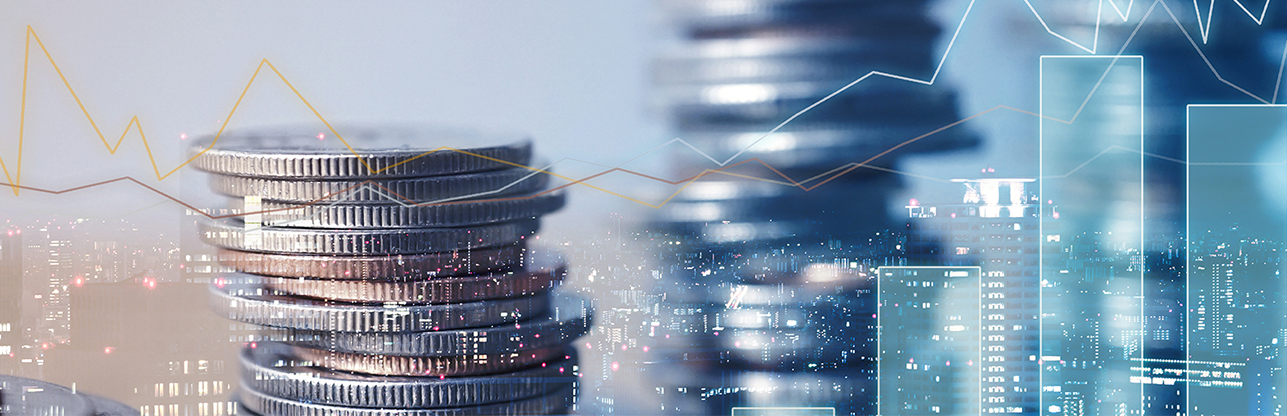 Koipay-�徲֧������