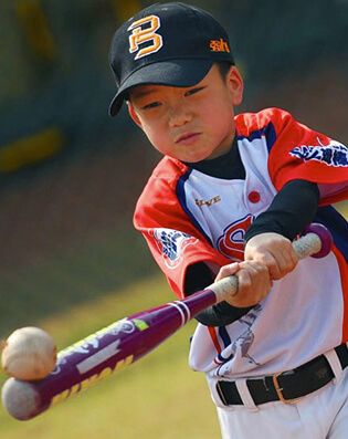 Koipay-�徲֧������