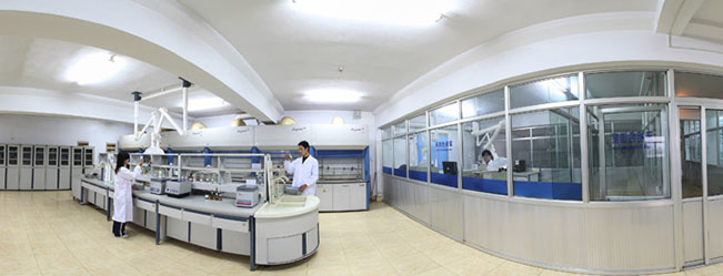 Koipay-�徲֧������