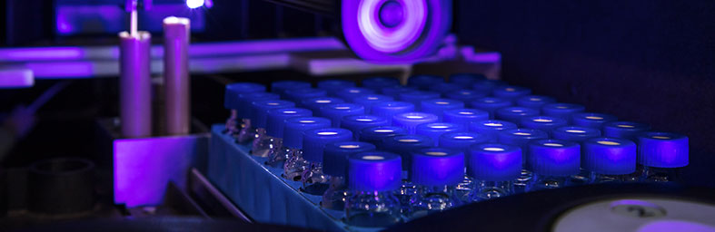 Koipay-�徲֧������