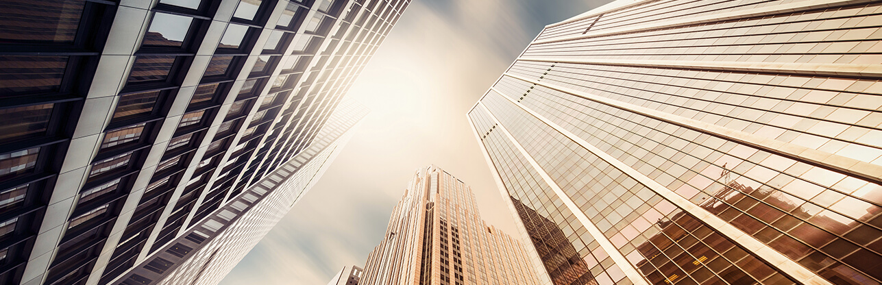 Koipay-�徲֧������