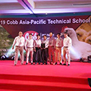 Koipay-�徲֧������