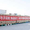 Koipay-�徲֧������