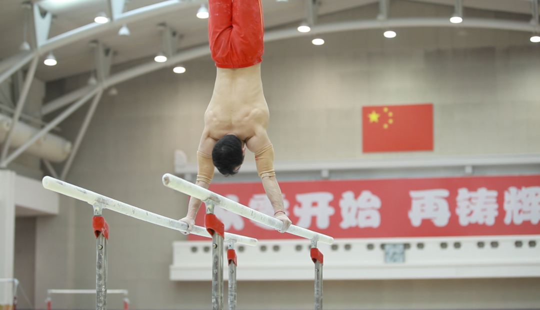 Koipay-�徲֧������