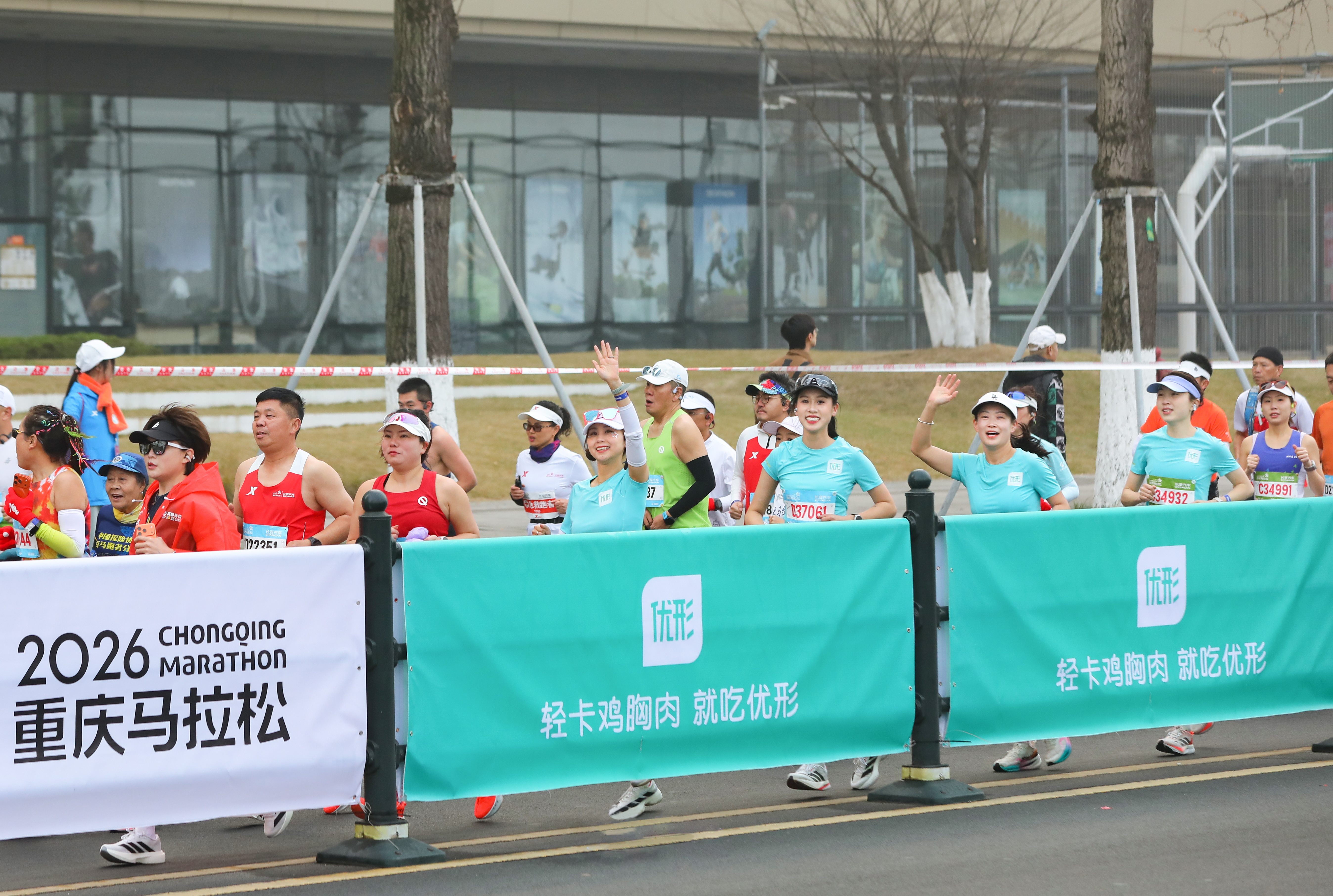 Koipay-�徲֧������