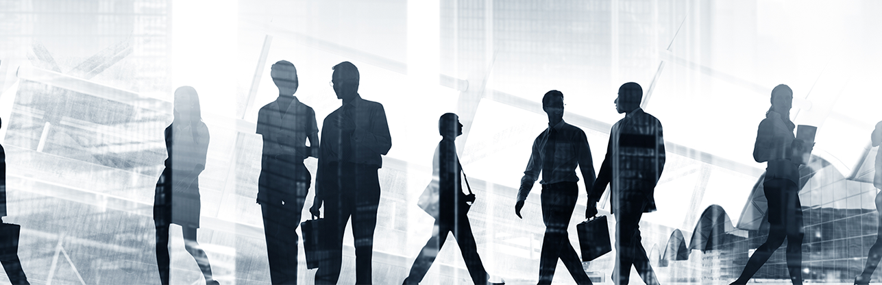 Koipay-�徲֧������