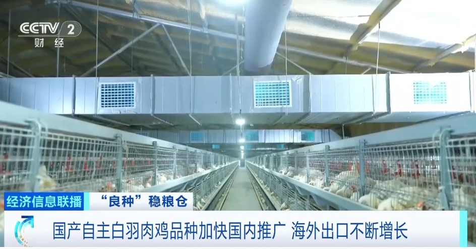 Koipay-安全支付工具